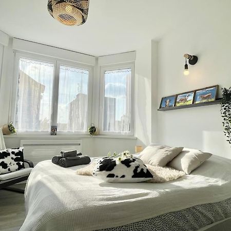 Appartement La Mascotte à Saint-Louis  Extérieur photo