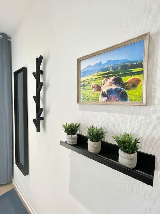 Appartement La Mascotte à Saint-Louis  Extérieur photo