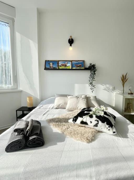 Appartement La Mascotte à Saint-Louis  Extérieur photo