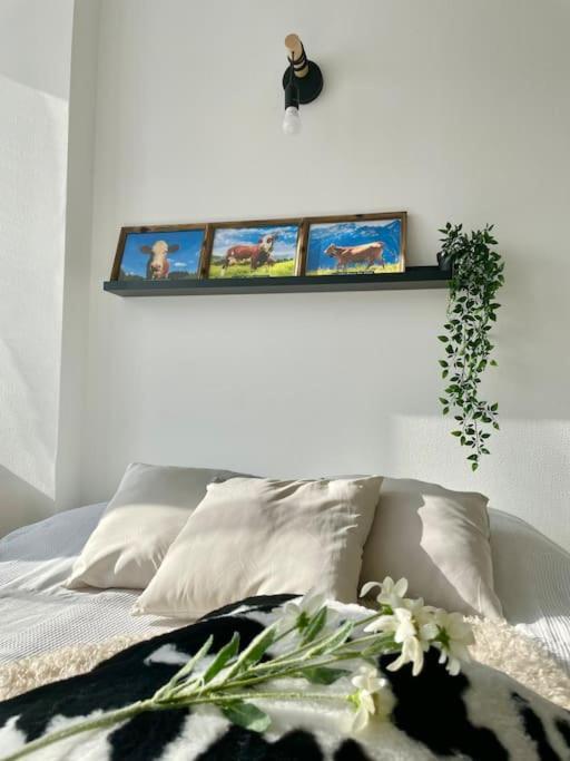 Appartement La Mascotte à Saint-Louis  Extérieur photo